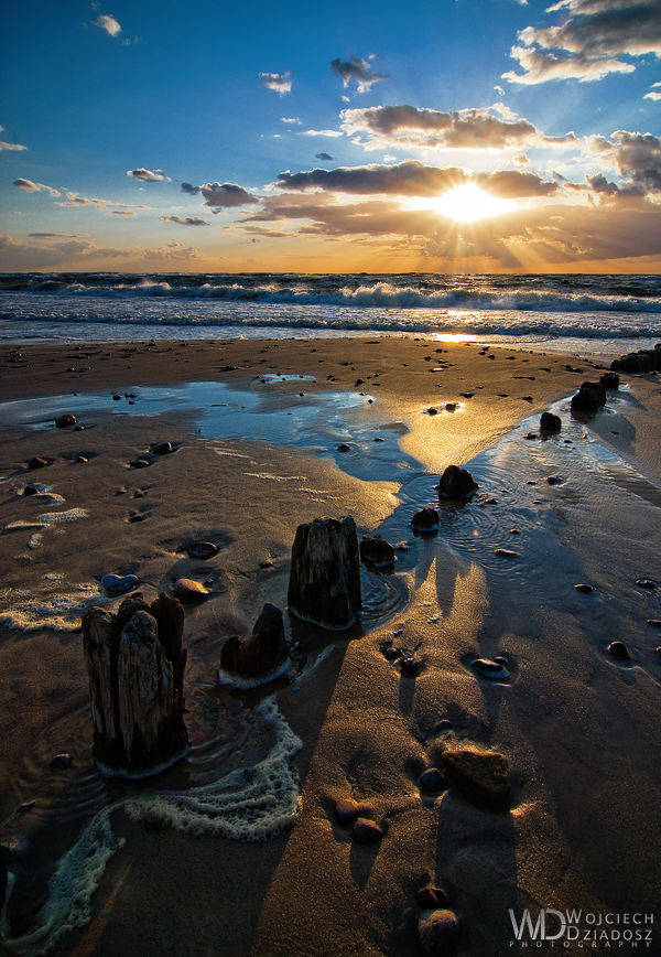 Shadows on the sand