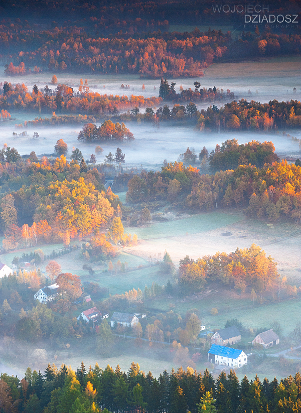 Golden autumn I