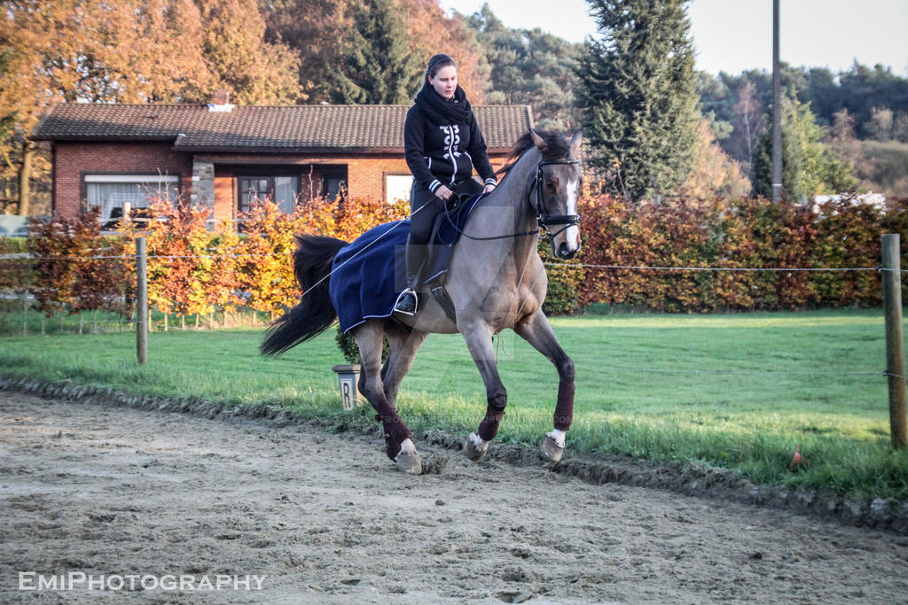 horsebackriding is an art