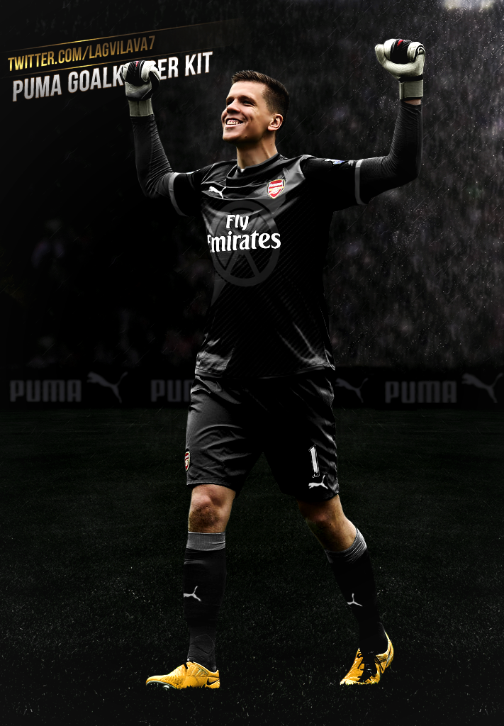 Puma top goalkeeper kit