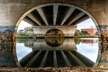 Bridge Reflection