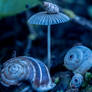 Snails Gathering