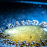 Honey For Breakfast