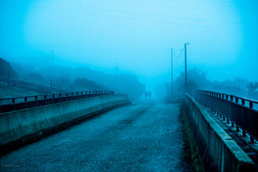 Take A Walk In The Mist