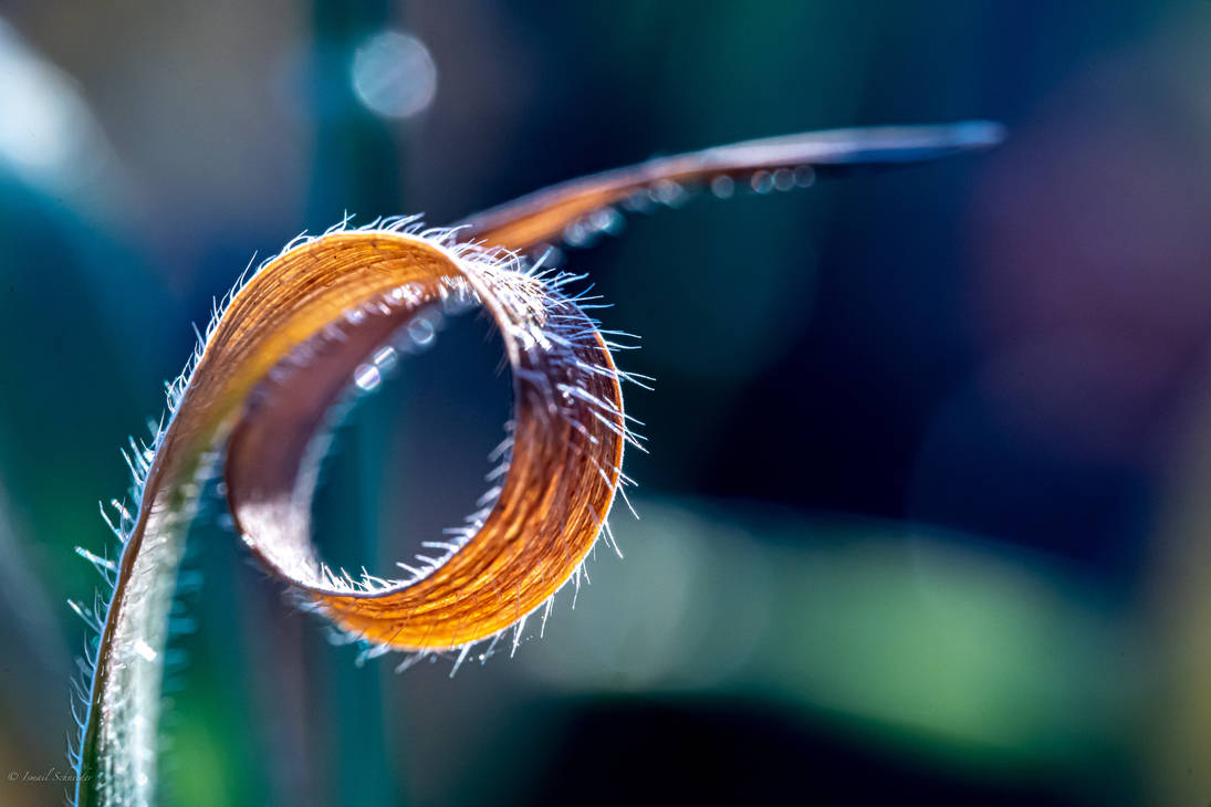 Looping by isischneider on DeviantArt