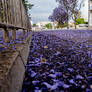 Purple Road 