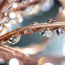 Shiny Copper Droplets