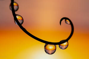 Sunset in a drop