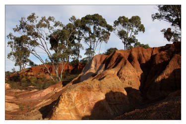 Rusty Coloured Gold Diggings