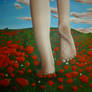 Poppy field