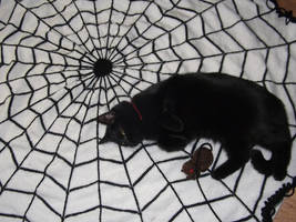 Spiderweb blanket