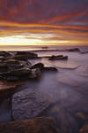 Turimetta Pinks by timbodon