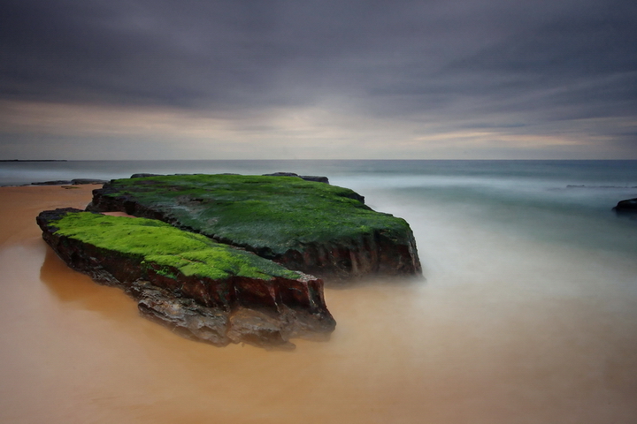 Turimetta Greens