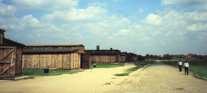 Horse Stables