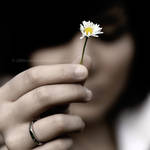 Only One by notoca