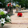 Decorated Cemetery