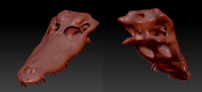 3D Crocodile Skull