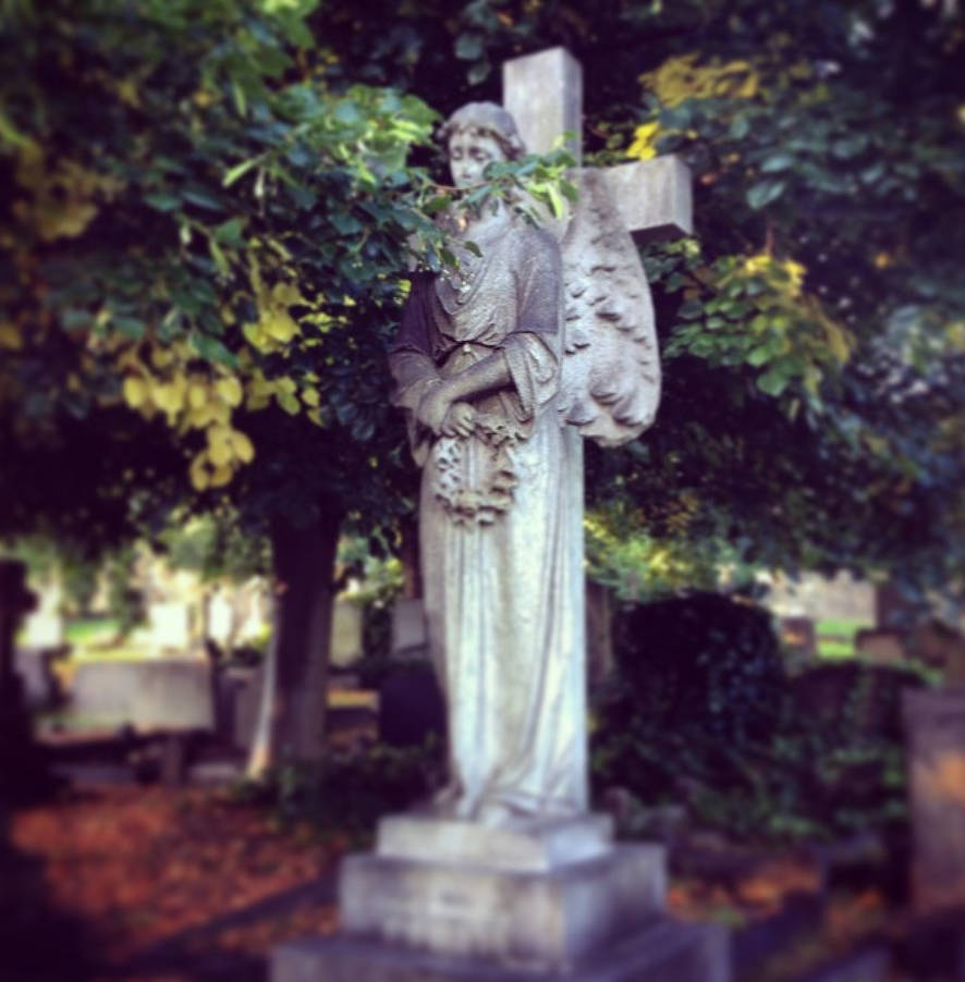 Image by Raffo-no1 on DeviantArt