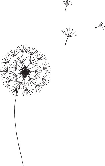 Dandelion Graphic