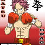 Natsu the boxer