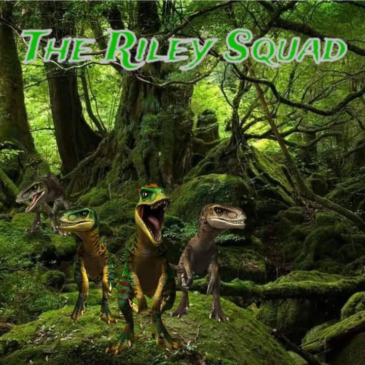 The Riley Squad by Orca117 on DeviantArt