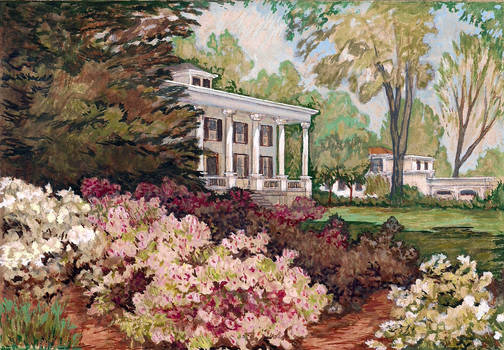 Azaleas and House in Georgia