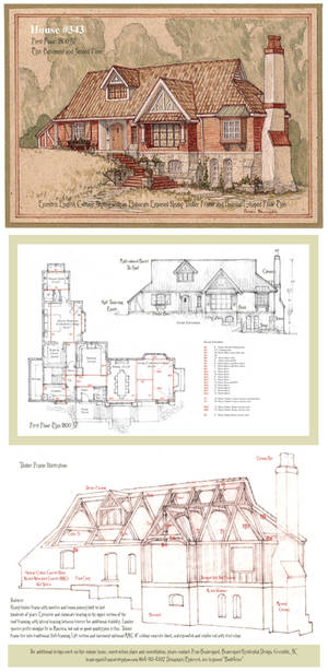 House 343 Portrait and Plan