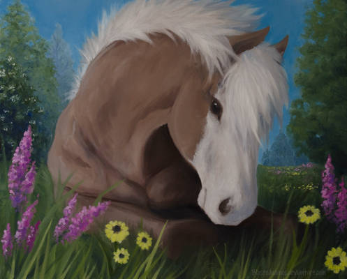 Little horse in summer