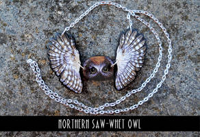 Northern Saw-Whet Owl - plywood pendant