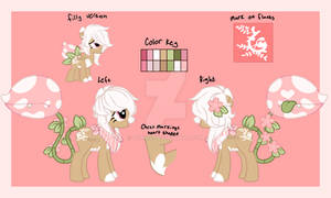 Bloom and Blossom Canon ref sheet