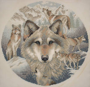 Wolves and Mountain