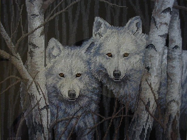 Wolves in Trees