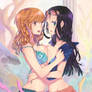 Nico Robin and Nami Catfight