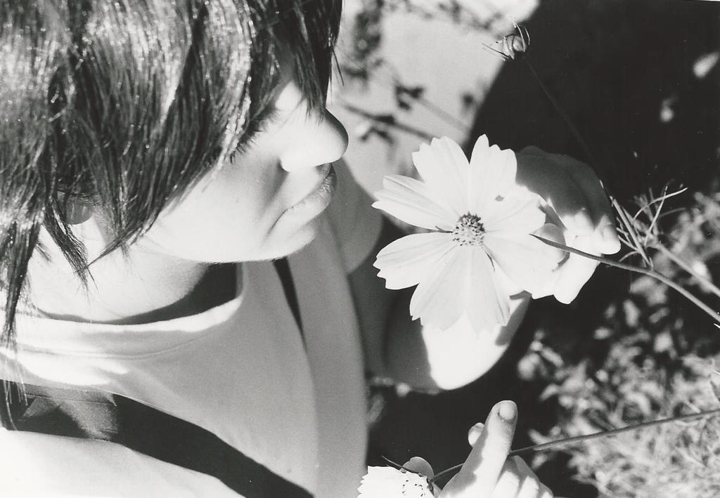 Shino Inuzuka_ by Neko-Bishi on DeviantArt