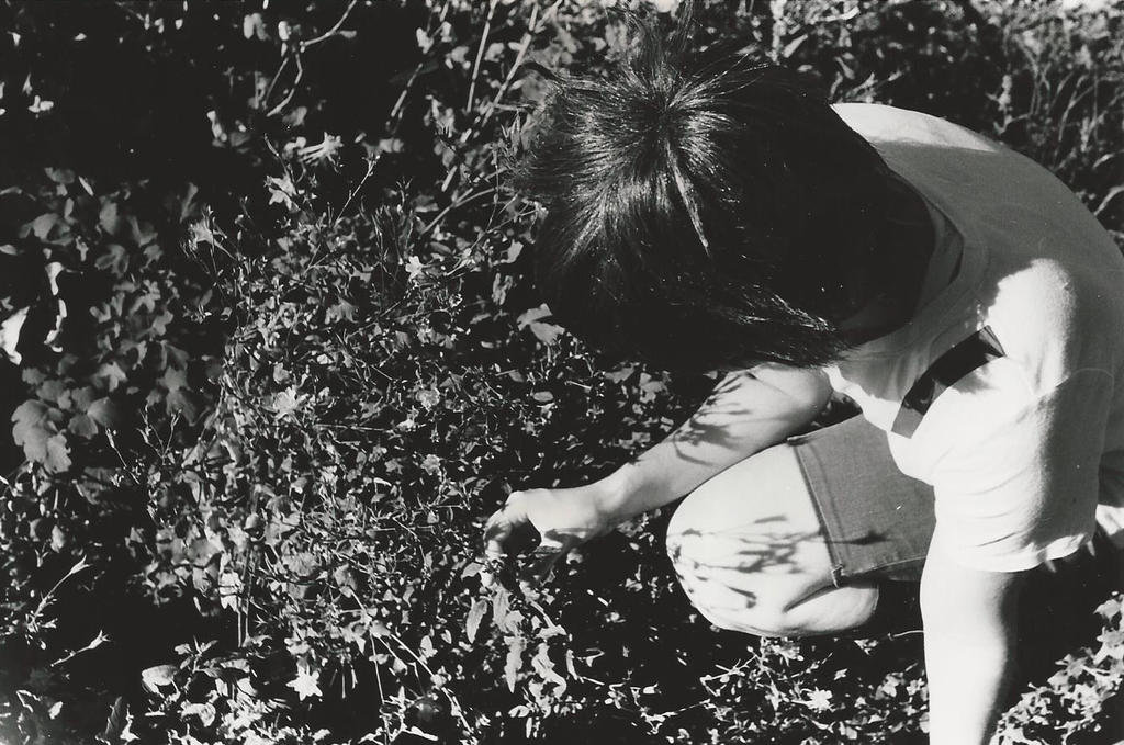 Shino_Inuzuka by Neko-Bishi on DeviantArt