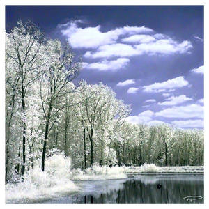 IR Lake