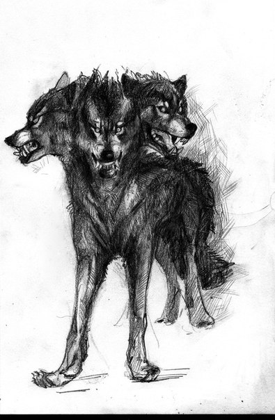 Syberus Wolves wolf Cerberus by RaudEgil on DeviantArt