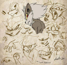 The 'Wolf' -- Various