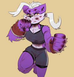 Vix the Fighter