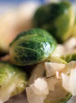 Sprouts from Brussels by mattaphore