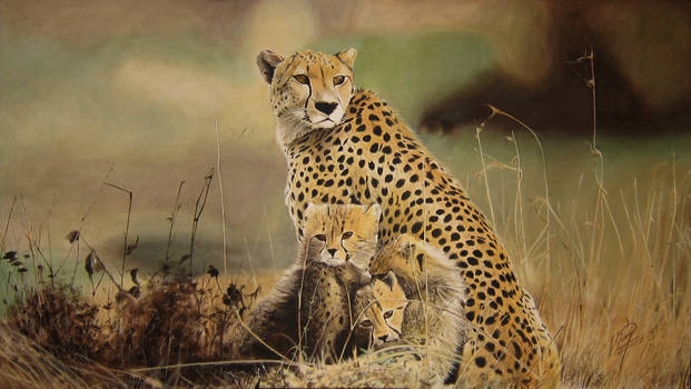 Cheetah with her cubs