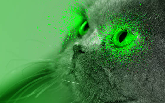 Green Kitty