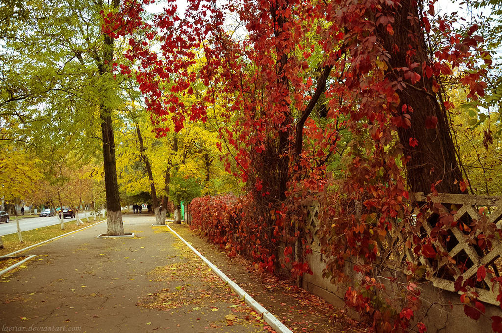 Fall Main Street Fall Street by Laerian on DeviantArt