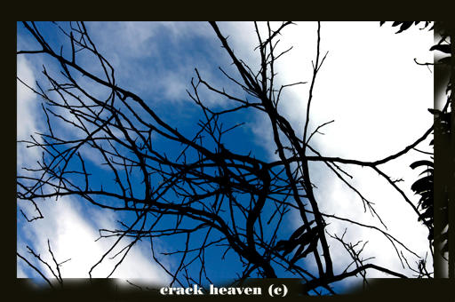 Cracked Heaven