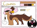 Cosmos