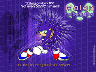 Wall: Malan the porcupine