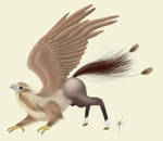 A2 Art Exam - Hippogryph by brackenhawk