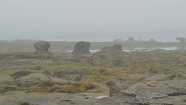 Bretagne mist