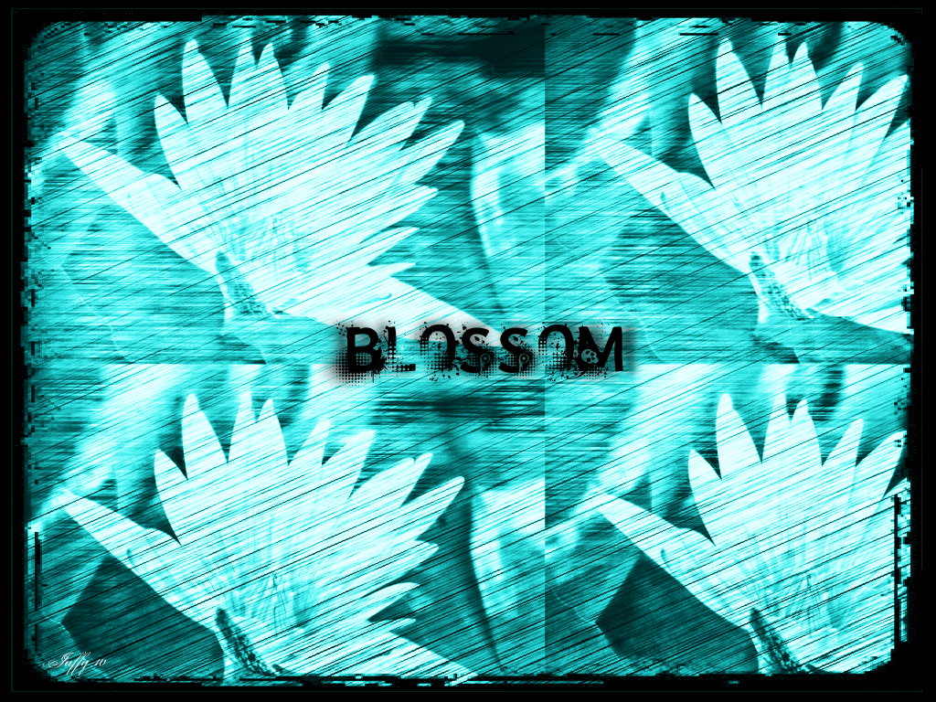 Blossom