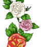 Rose Design